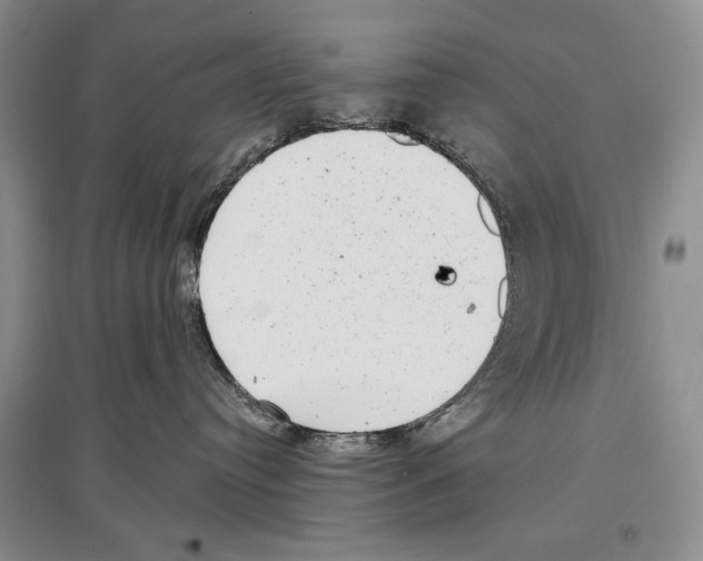 X0000097290384200803141516