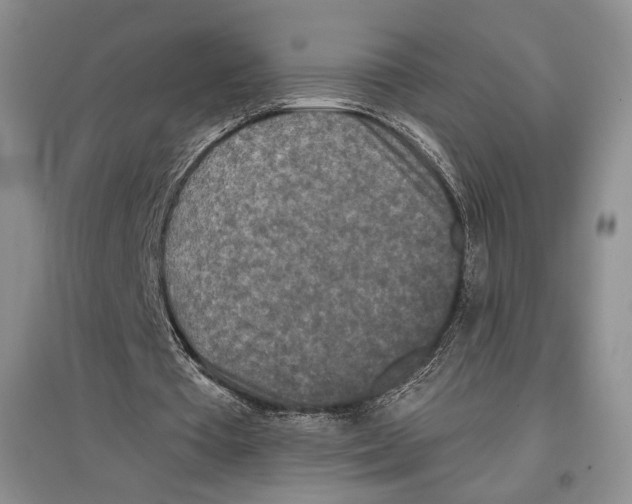 X0000097290385200803141515