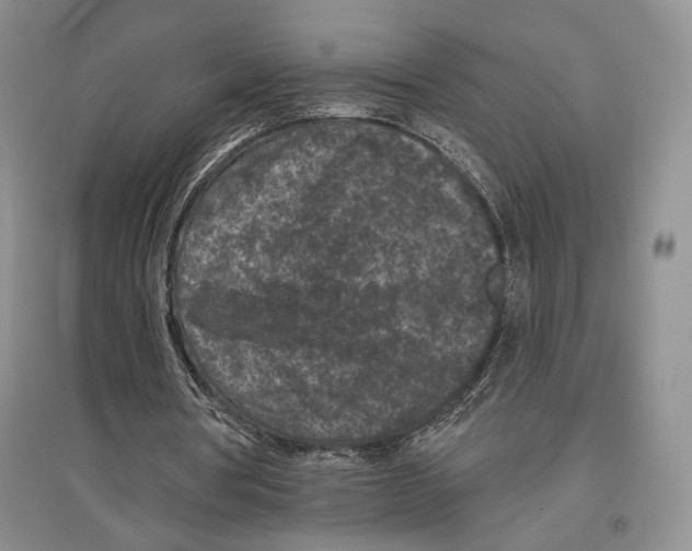 X0000097290386200803141515