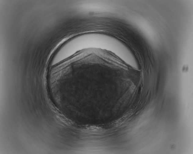 X0000097290387200803141515