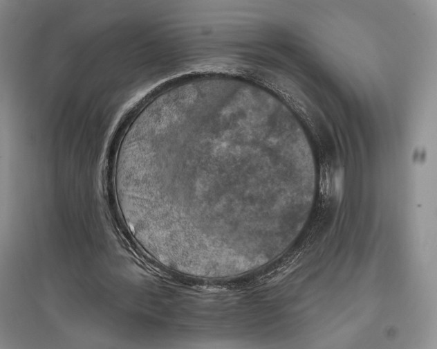 X0000097290388200803141515