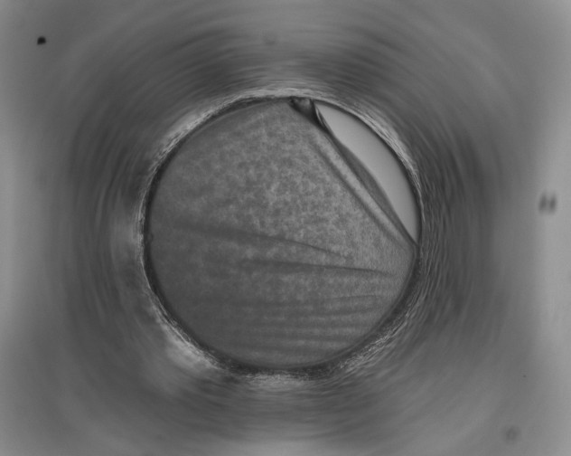 X0000097290389200803141515