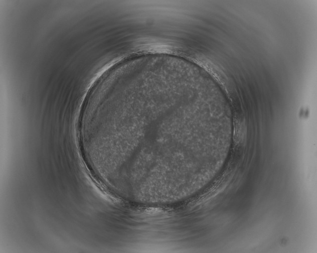 X0000097290390200803141515