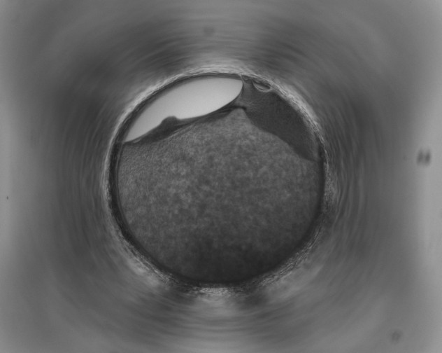 X0000097290391200803141515