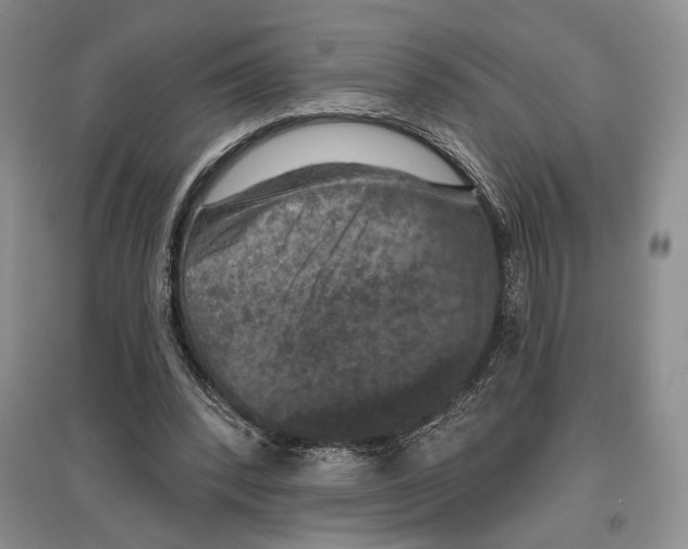 X0000097290392200803141515