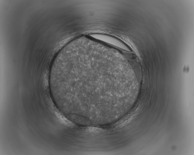 X0000097290393200803141515