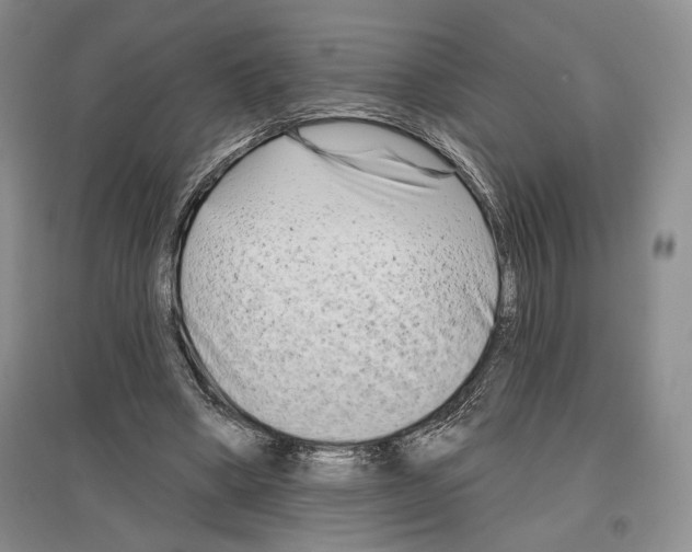 X0000097290394200803141515