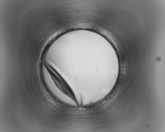 X0000097290395200803141515