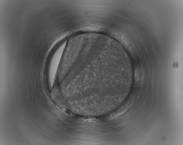X0000097290396200803141515