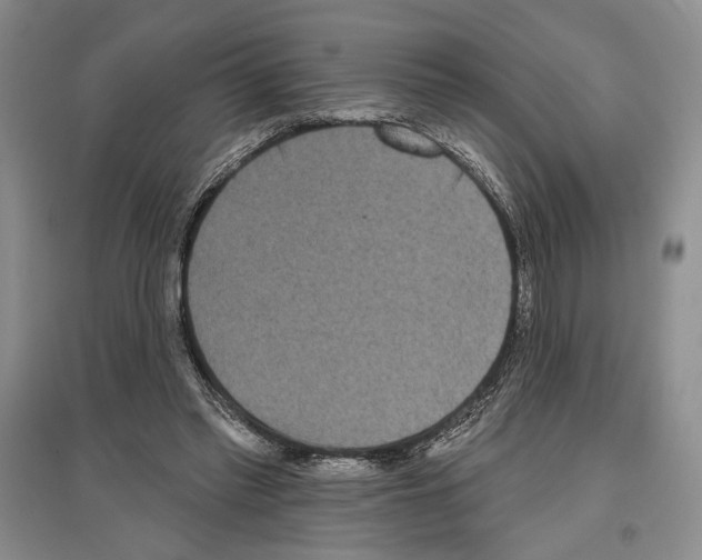 X0000097290397200803141515