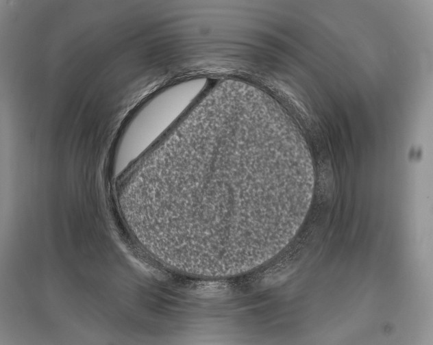 X0000097290398200803141515