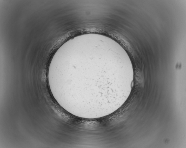 X0000097290401200803141515