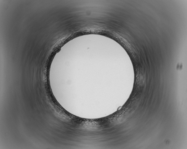 X0000097290403200803141515
