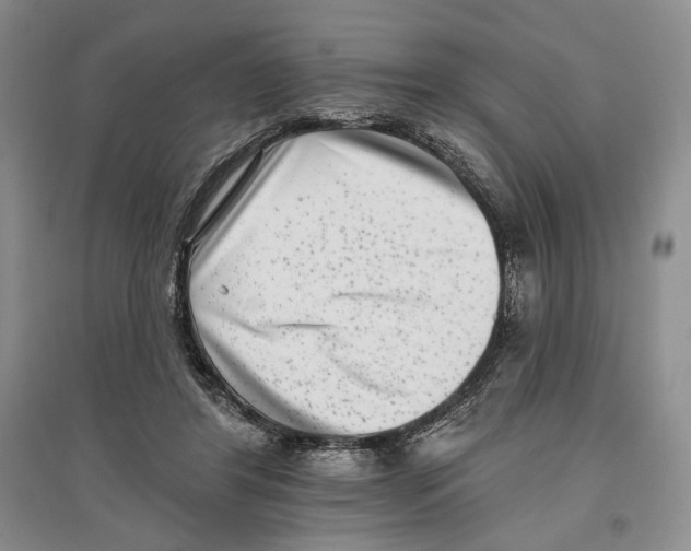 X0000097290404200803141515
