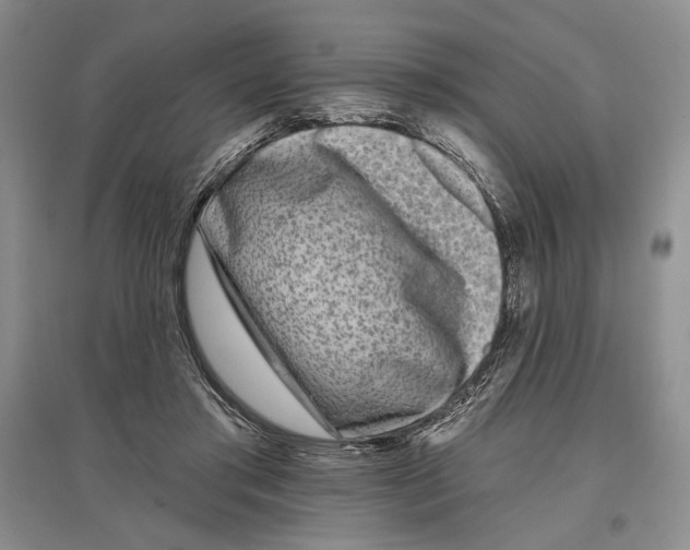 X0000097290405200803141515