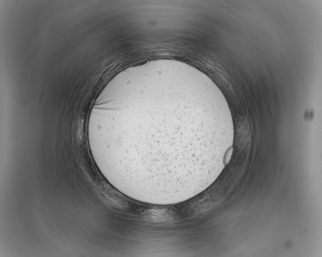 X0000097290406200803141515