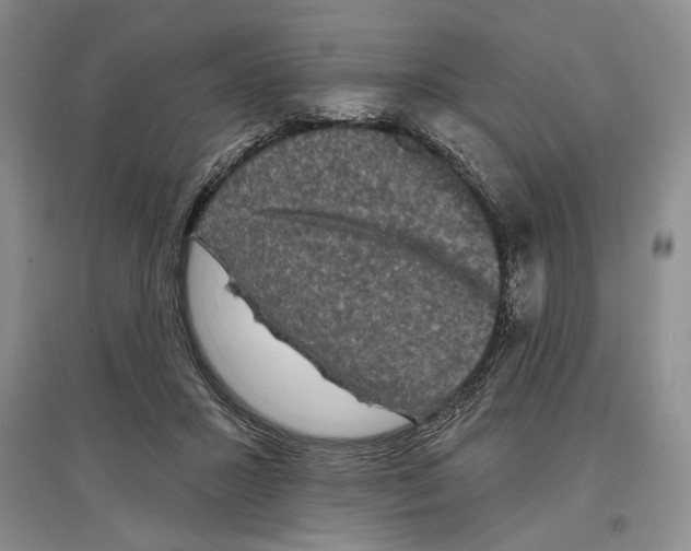 X0000097290407200803141515