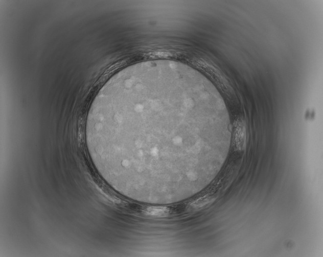 X0000097290410200803141515