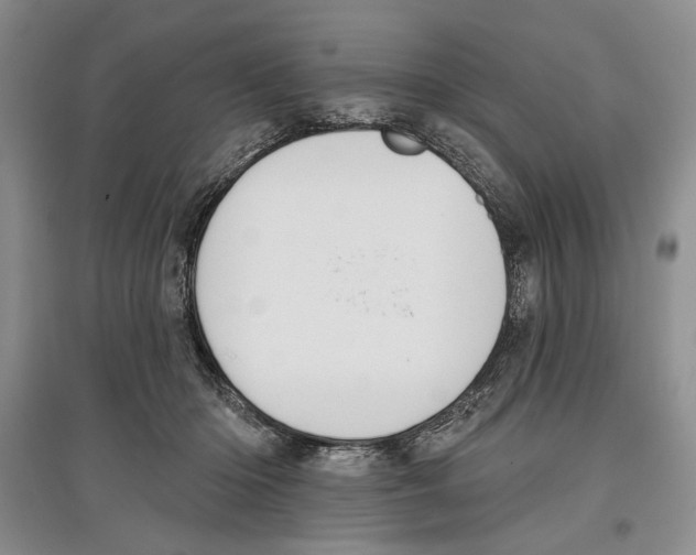 X0000097290414200803141515