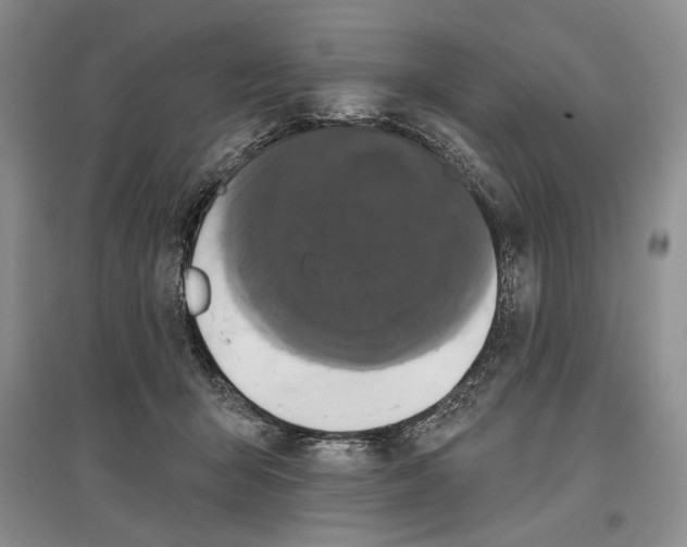 X0000097290415200803141515