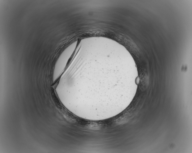 X0000097290416200803141514