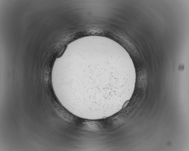 X0000097290417200803141514