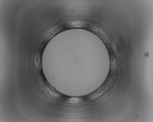 X0000097290418200803141514