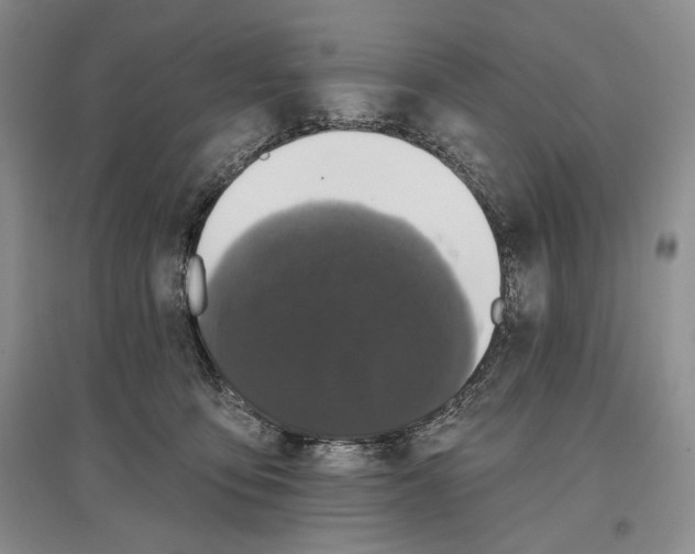 X0000097290419200803141514