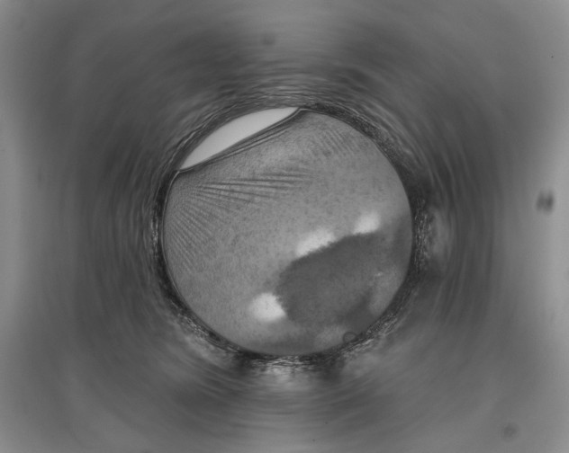 X0000097290420200803141514