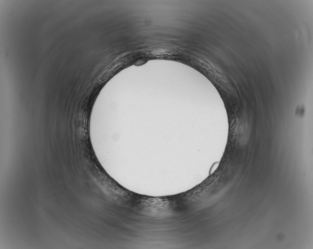X0000097290421200803141514