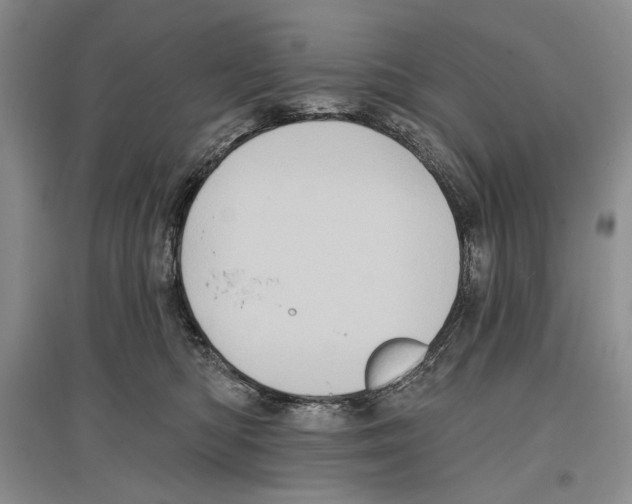 X0000097290422200803141514
