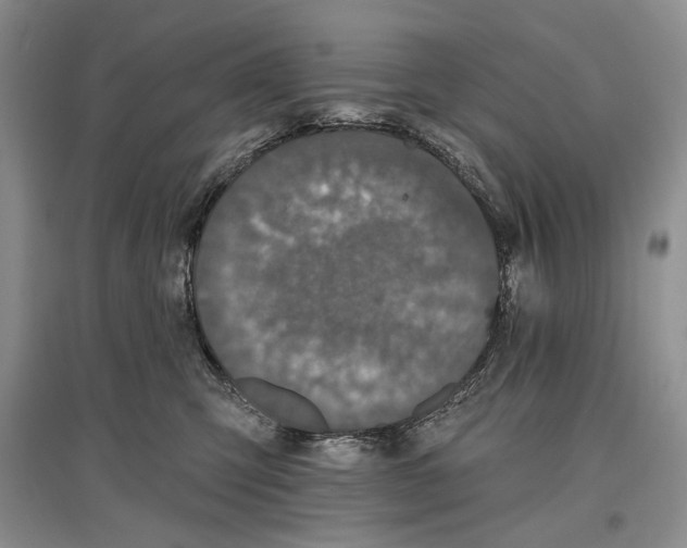 X0000097290423200803141514