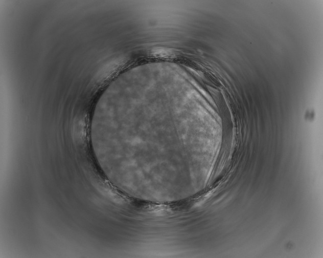 X0000097290424200803141514