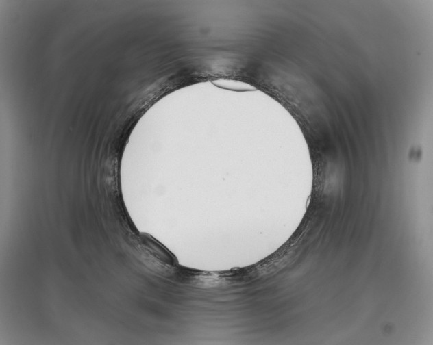 X0000097290425200803141514