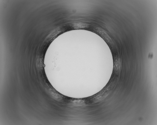 X0000097290426200803141514