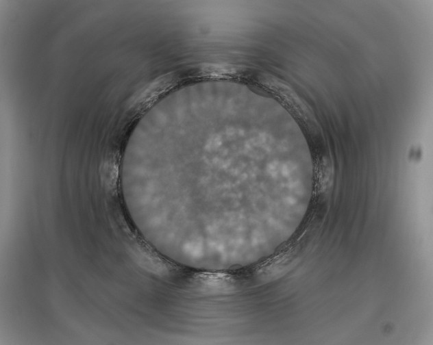 X0000097290427200803141514