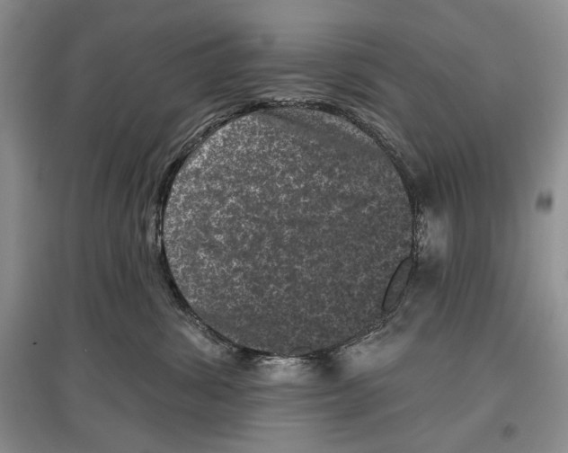 X0000097290428200803141514