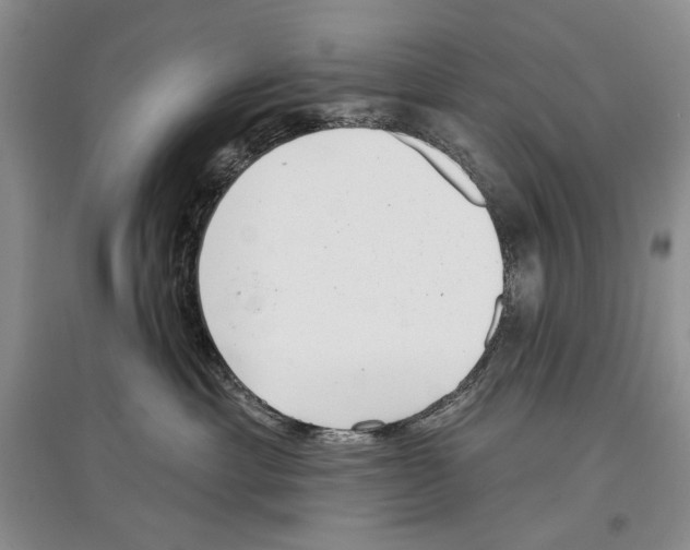 X0000097290429200803141514