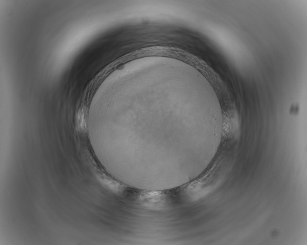 X0000097290431200803141514