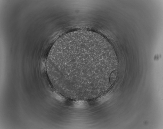 X0000097290432200803141514
