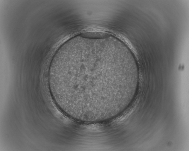 X0000097290433200803141514