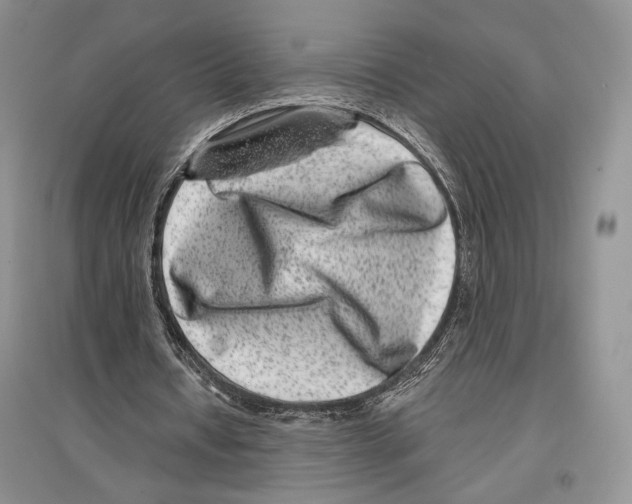 X0000097290434200803141514