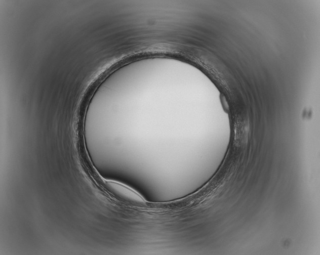 X0000097290436200803141514