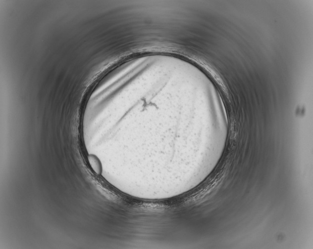 X0000097290437200803141514