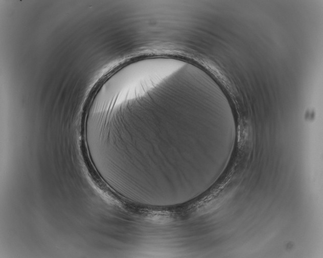 X0000097290438200803141514