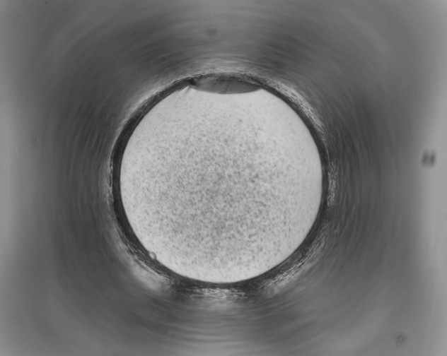X0000097290439200803141514