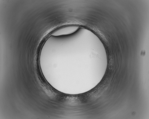 X0000097290440200803141514
