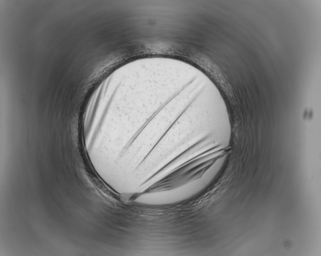 X0000097290442200803141514