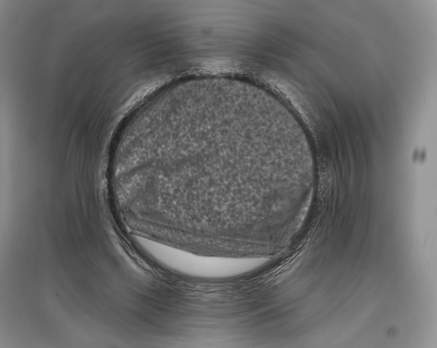 X0000097290443200803141514