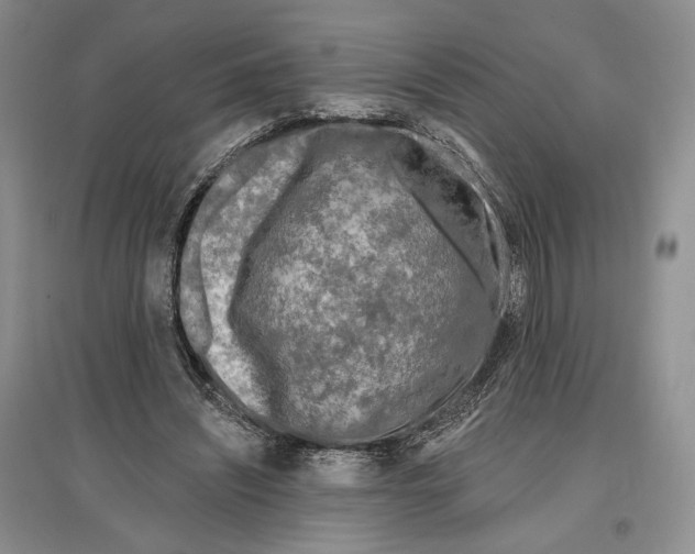 X0000097290444200803141514